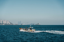 Ein Boot auf dem Meer mit der Silhouette einer Stadt im Hintergrund. 