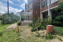 Ausgerissene Bäume und ein verwüsteter Campus
