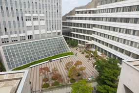 Der Innenhof des Hakusan Campus der Toyo Universität. Hier finden alle meine Kurse statt.