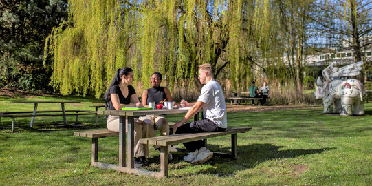 Drei Studierende sitzen an einem Sommertag an einer Sitzbank mit Tisch auf einer Wiese und unterhalten sich gut gelaunt.