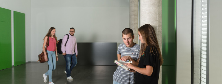 Two students are talking while two other students are on their way to join them.