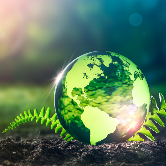 A glass globe lies on green forest floor and the sun is shining.